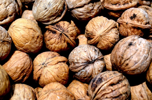 Walnuts in the shell photographed by Peter Griffin. PulbicDomainPictures.net